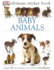 Ultimate Sticker Book: Baby Animals (Ultimate Sticker Books)