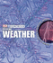 Extreme Weather (Experience)