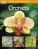 Simple Steps to Success: Orchids