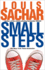 Small Steps (Reader's Circle (Prebound))