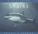 Sharks (Discovering)