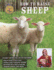 How to Raise Sheep: Everything You Need to Know