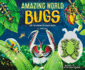 Amazing World: Bugs: Get to Know 20 Crazy Bugs