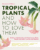 Tropical Plants and How to Love Them: Building a Relationship With Heat-Loving Plants When You Don't Live in the Tropics-Angel's Trumpets-...-Gingers-Hibiscus-Canna Lilies and More!