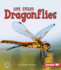 Dragonflies (First Step Nonfiction-Animal Life Cycles)