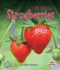 Strawberries (First Step Nonfiction-Plant Life Cycles)