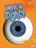 What is Sight? (Lightning Bolt Books ? Your Amazing Senses)