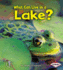 What Can Live in a Lake? (First Step Nonfiction? Animal Adaptations)