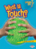 What is Touch? (Lightning Bolt Books -Your Amazing Senses)