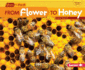From Flower to Honey (Start to Finish, Second Series)