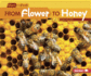 From Flower to Honey (Start to Finish, Second Series: Nature's Cycles)