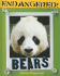 Bears (Endangered! )