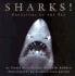 Sharks! : Predators of the Sea