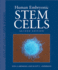 Human Embryonic Stem Cells