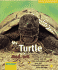 My Turtle and Me (for the Love of Animals Series)