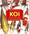 The World of Koi