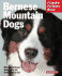 Bernese Mountain Dogs: Everything About Purchase, Care, Nutrition, Behavior and Training