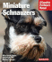 Miniature Schnauzers: Everything About Purchase, Care, Nutrition, and Behavior (Barron's Complete Pet Owner's Manuals)