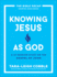 Knowing Jesus as God-a 10-Session Study on the Gospel of John