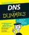 Dns for Dummies