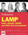 Professional Lamp