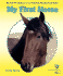 My First Horse (My First Pet Library From the American Humane Association)