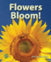 Flowers Bloom! (I Like Plants! )