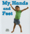 My Hands and Feet (All About My Body)