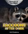 Raccoons After Dark (Animals of the Night)