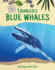 Endangered Blue Whales (Wildlife at Risk)