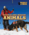 Search-and-Rescue Animals (Animals at Work)