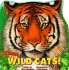 Wild Cats! (Know-It-All Series)