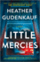 Little Mercies: a Novel
