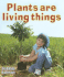 Plants Are Living Things (Introducing Living Things)