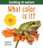 What Color is It? (Looking at Nature)