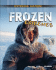 Frozen Extremes (Extreme Nature, 3)