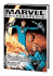 Marvel Encyclopedia Volume 6: Fantastic Four Hc: Fantastic Four V. 6
