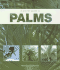 Guide to Palms