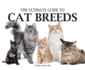 The Ultimate Guide to Cat Breeds