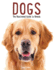 Dogs: the Illustrated Guide to Breeds