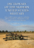 Dictionary of the Modern United States Military: Over 15, 000 Weapons, Agencies, Acronyms, Slang, Installations, Medical Terms and Other Lexical Units of Warfare Vol 2