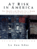 At Risk in America: the Health and Health Care Needs of Vulnerable Populations in the United States