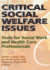 Critical Social Welfare Issues: Tools for Social Work and Health Care Professionals (Haworth Social Work Practice)