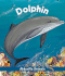 Dolphin (Abbeville Animals)