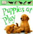 Soft--to--Touch Board Book: Puppies at Play (Soft--to--Touch)