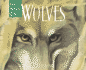 Wolves: a One Whole Day Book