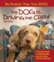 My Dog is Driving Me Crazy! : Be Smarter Than Your Dog! a Practical Guide to Understanding Release and Correcting Problem Behaviors