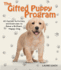 The Gifted Puppy Program