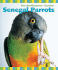 Senegal Parrots (the Birdkeepers' Guides)