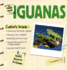 The Simple Guide to Iguanas